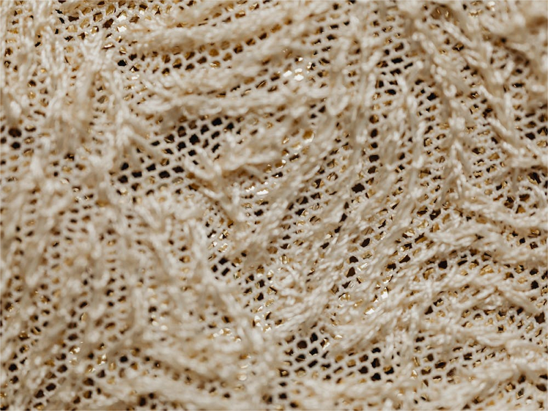party lace fabric1