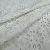 HDX-225 Machine Eyelet Embroidery Cotton fabric