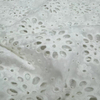 HDX-225 Machine Eyelet Embroidery Cotton fabric