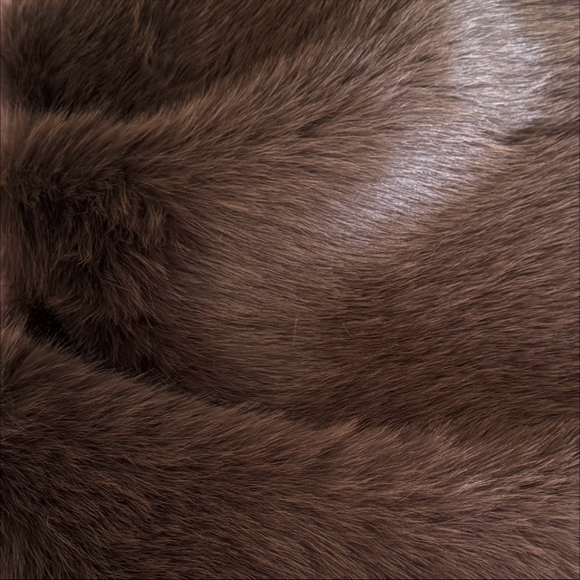 WT-24031 High Quality Natural Coyote Fur Skin Pelt Animal Fur Wholesale
