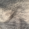 WT-25044 Faux Fur FW24/25 NEW Fancy Feather Long Pile Imitation Plush Fabric for Jackets