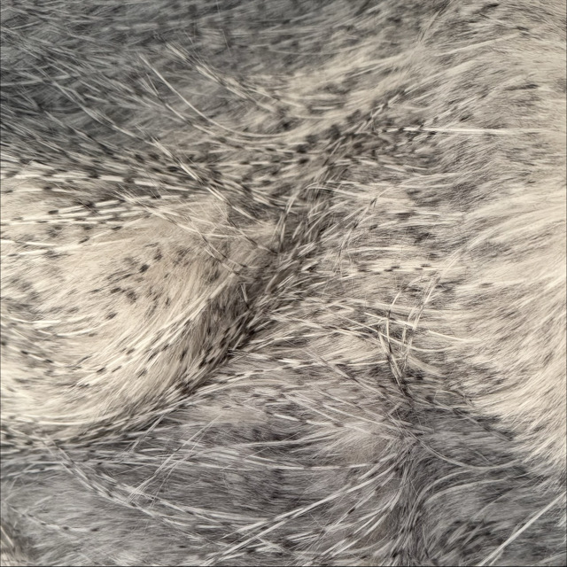 WT-25044 Faux Fur FW24/25 NEW Fancy Feather Long Pile Imitation Plush Fabric for Jackets