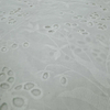 HDX-24070 Eyelet Embroidery Cotton fabric