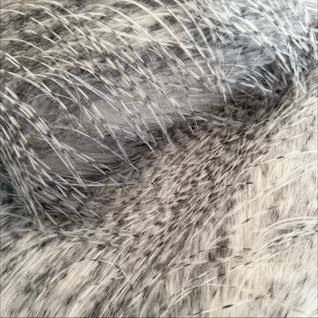 WT-25044 Faux Fur FW24/25 NEW Fancy Feather Long Pile Imitation Plush Fabric for Jackets