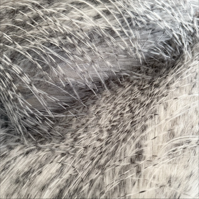 WT-25044 Faux Fur FW24/25 NEW Fancy Feather Long Pile Imitation Plush Fabric for Jackets