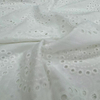 HDX-229 Machine Eyelet Embroidery Cotton fabric