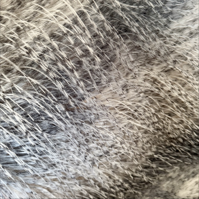 WT-25044 Faux Fur FW24/25 NEW Fancy Feather Long Pile Imitation Plush Fabric for Jackets